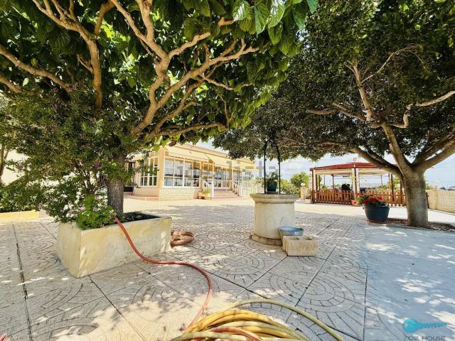 Chalet, Elche / Elx