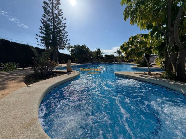 Chalet, Elche / Elx