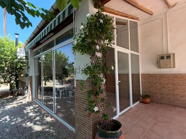 Chalet, Elche / Elx