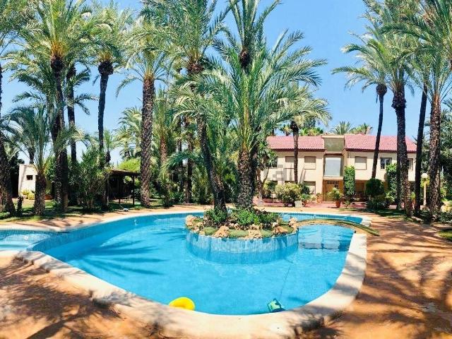 Chalet, Elche / Elx