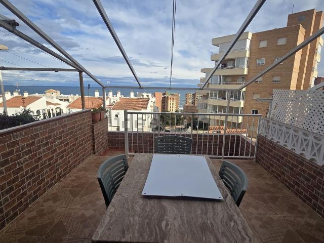 Chalet, Elche / Elx