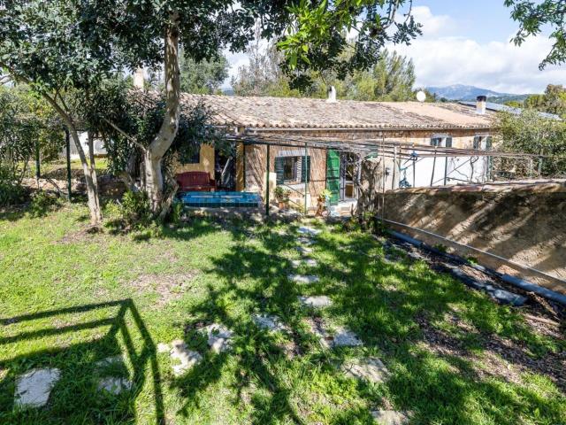 Chalet, Establiments, Palma de Mallorca