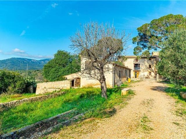 Chalet, Establiments, Palma de Mallorca