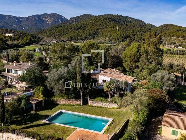 Chalet, Establiments, Palma de Mallorca