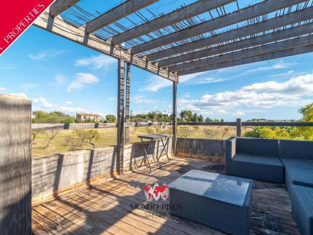 Chalet, Establiments, Palma de Mallorca