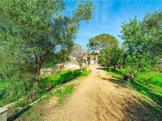 Chalet, Establiments, Palma de Mallorca