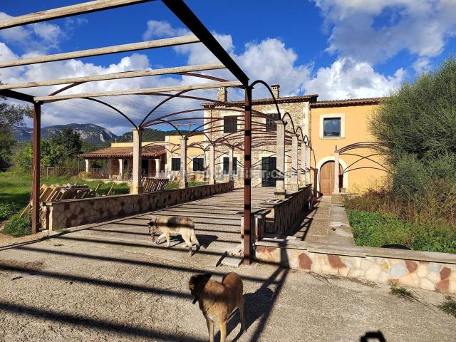 Chalet, Establiments, Palma de Mallorca