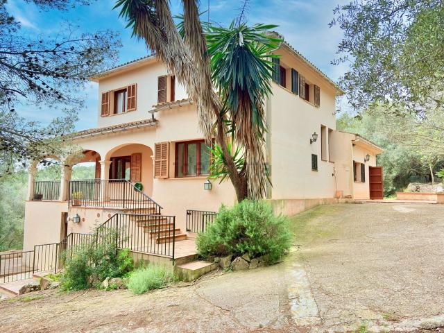 Chalet, Establiments, Palma de Mallorca