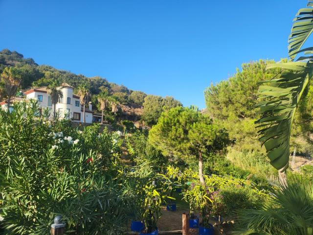 Chalet, Estepona