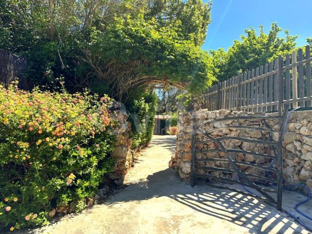 Chalet, Es Castell