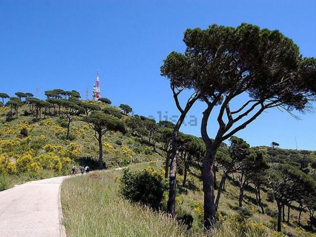 Chalet, Esplugues de Llobregat