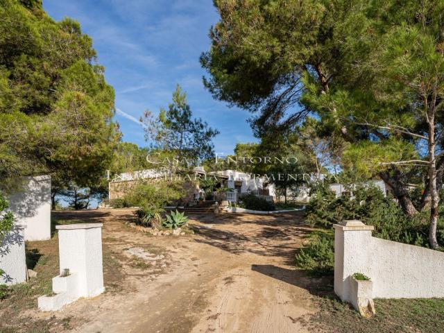Chalet, Formentera