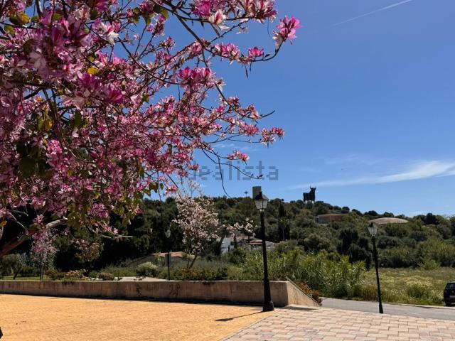 Chalet, Fuengirola
