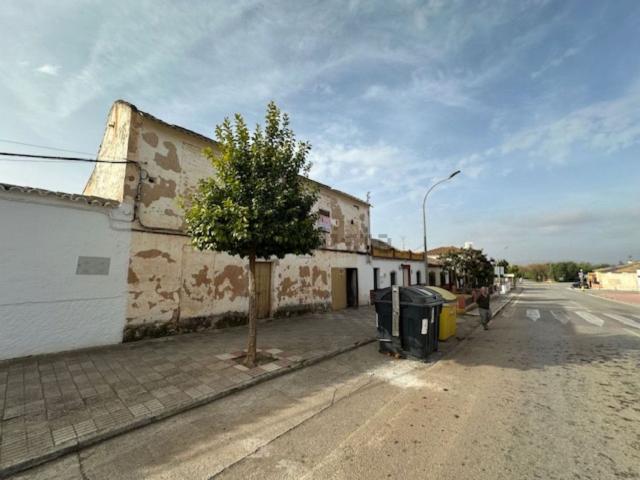 Chalet, Fuente de Piedra