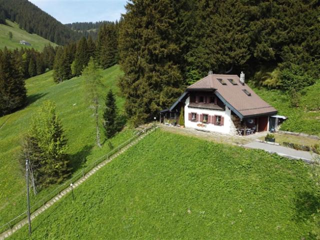 Chalet in Orgevaux/Montreux