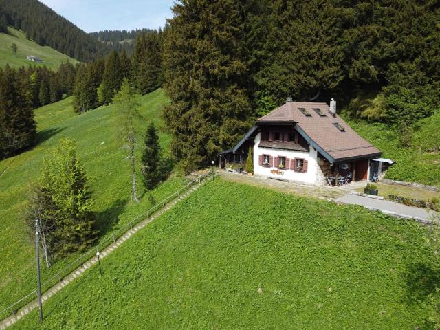 Chalet in Orgevaux/Montreux