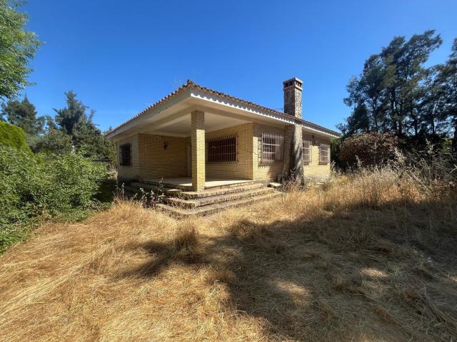 Chalet independiente con Gran parcela en Sanlucar la Mayor