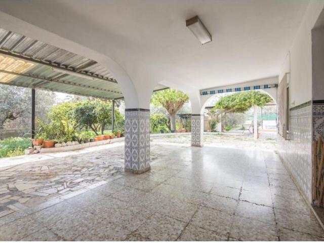Chalet independiente en Elche pedanías con 1.800m2 de parcela 305MVC Marco Villas inmobiliaria e