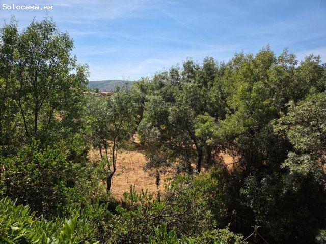 Chalet Independiente en Hontanar