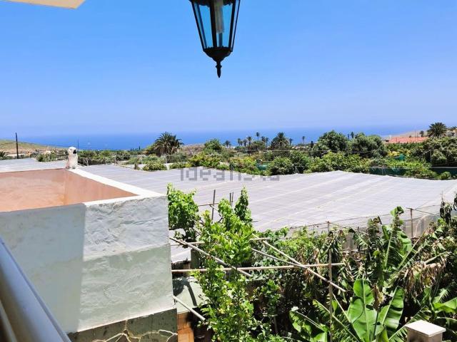 Chalet, Ingenio