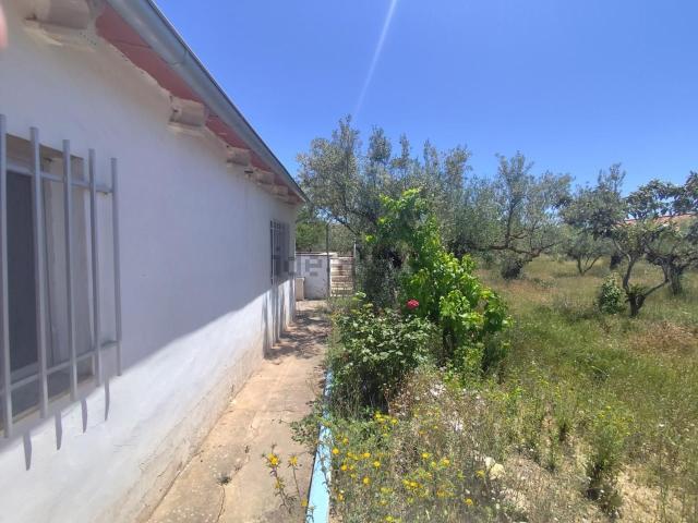 Chalet, Ibi