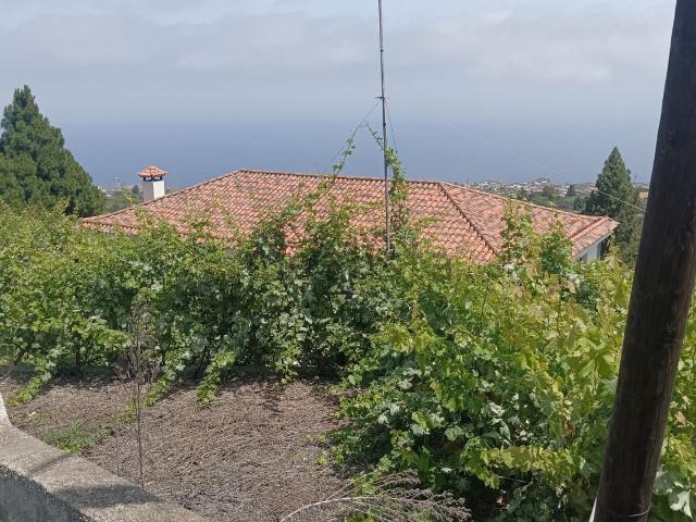 Chalet, Icod de los Vinos