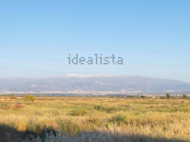 Chalet, Illora