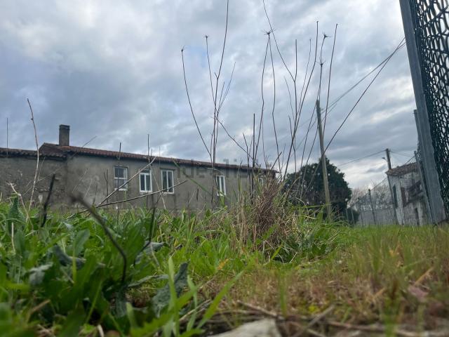Chalet, O Rosal