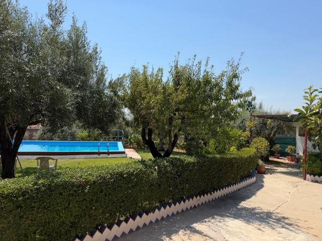 Chalet, Onda