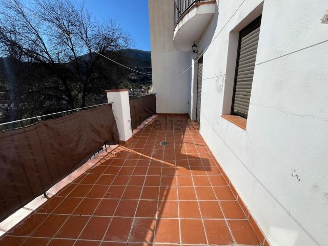 Chalet, Olivares