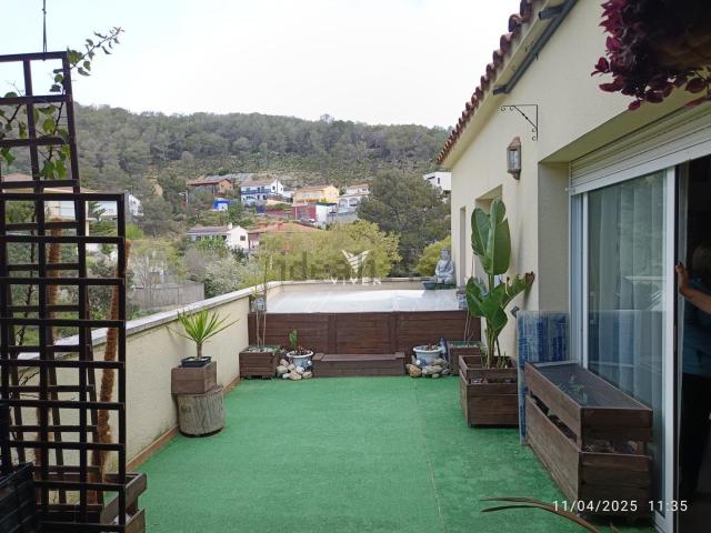 Chalet, Olivella