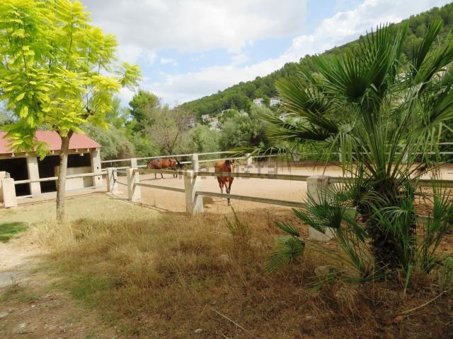 Chalet, Orba