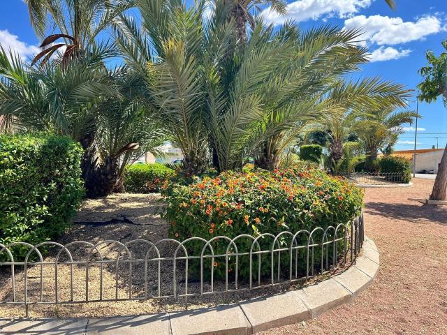 Chalet, Orihuela