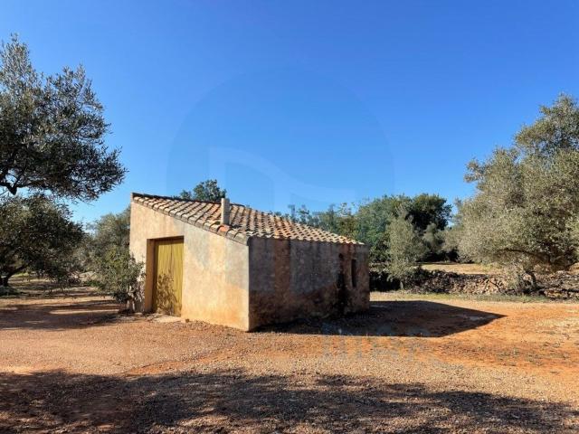 Chalet, L&apos Aldea
