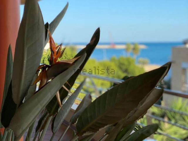 Chalet, L&apos Ampolla