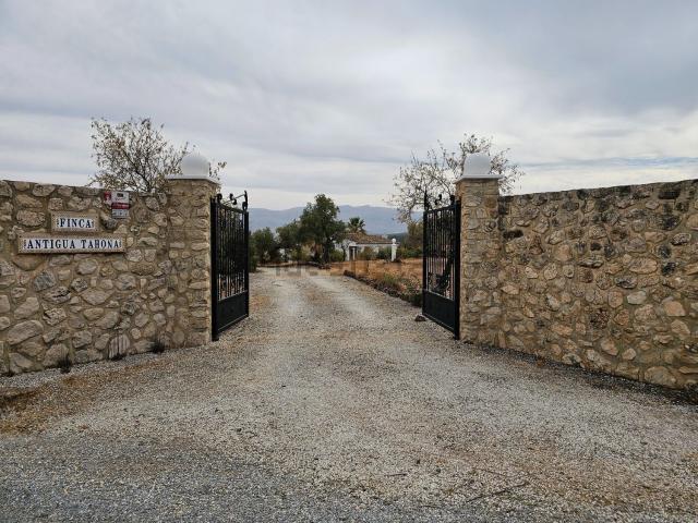 Chalet, Loja