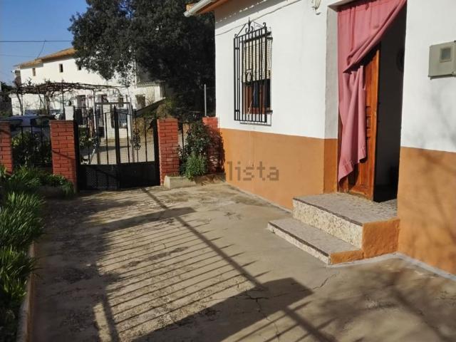 Chalet, Loja