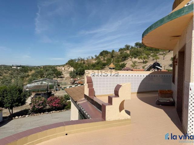 Chalet, Loja