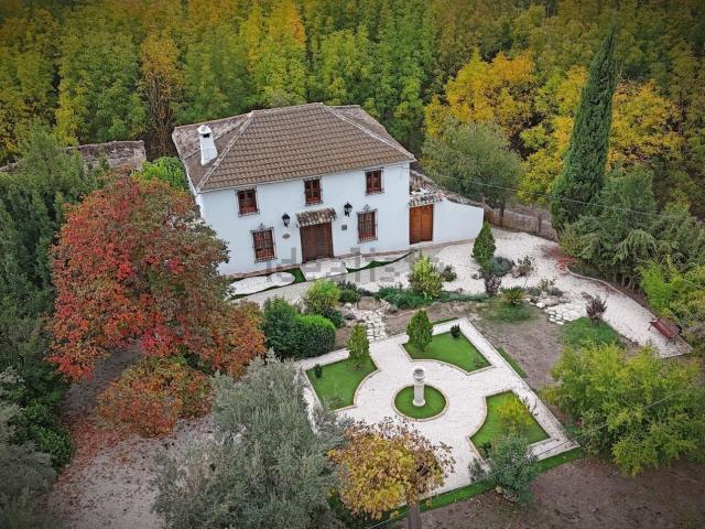 Chalet, Loja