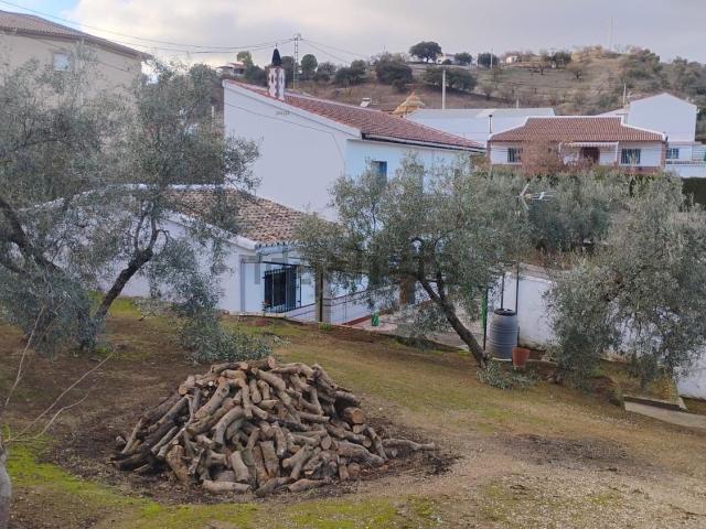Chalet, Loja