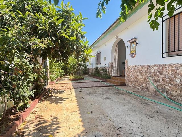 Chalet, Loja