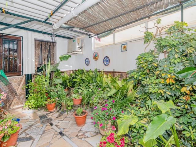 Chalet, Loja