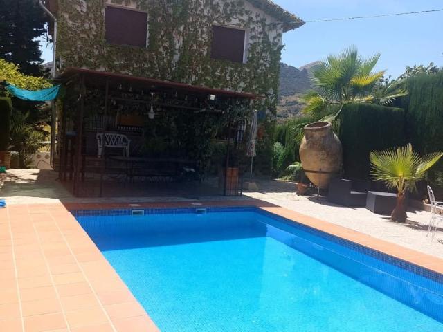Chalet, Loja