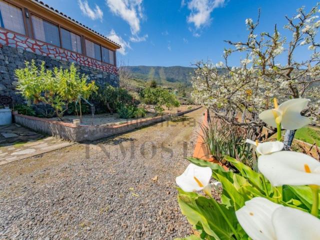 Chalet, Los Realejos