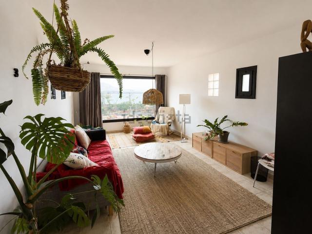 Chalet, La Oliva