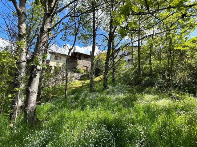 Chalet, La Massana