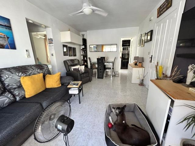 Chalet, La Siesta El Salado Torreta, Torrevieja