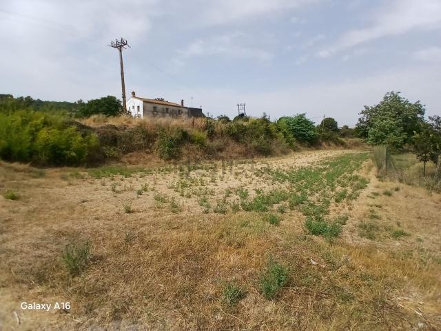 Chalet, La Roca del Vallès