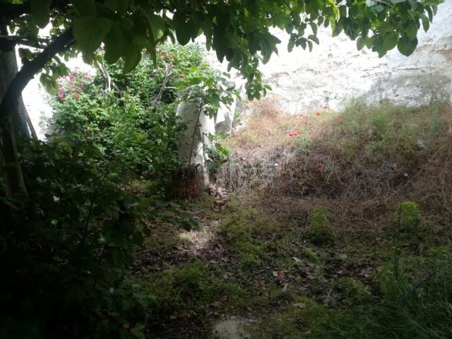 Chalet, La Roda