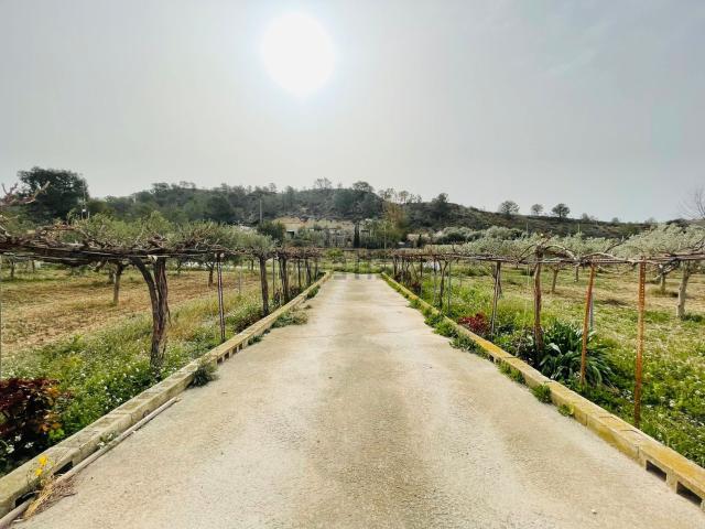 Chalet, La Villajoyosa / Vila Joiosa